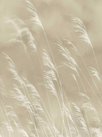 Imagen de PAPEL EIJFFINGER WATERFRONT