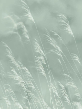 Imagen de PAPEL EIJFFINGER WATERFRONT