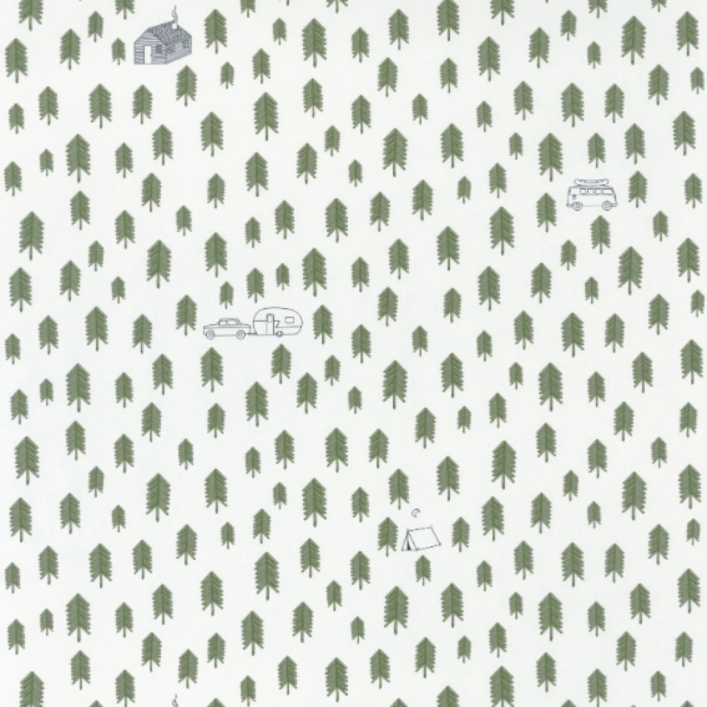 Imagen de PAPEL CASELIO OUR PLANET