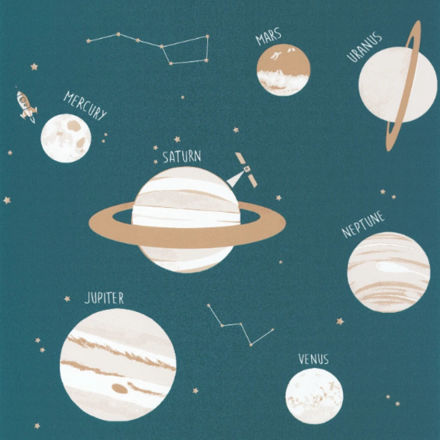 Imagen de PAPEL CASELIO OUR PLANET