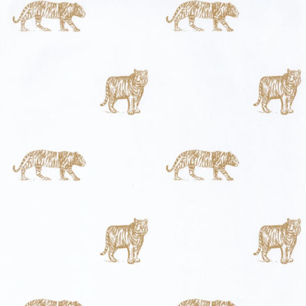 Imagen de PAPEL CASELIO OUR PLANET