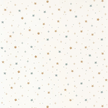 Imagen de PAPEL CASELIO OUR PLANET