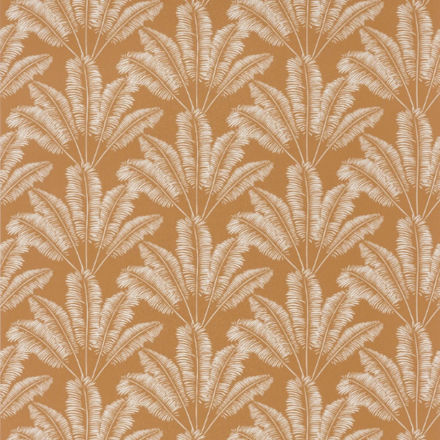 Imagen de PAPEL CASELIO OUR PLANET