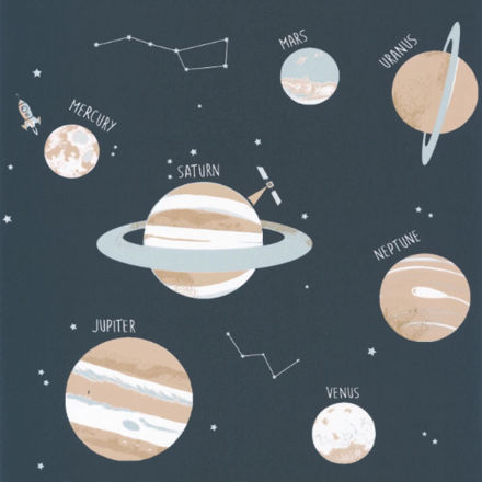 Imagen de PAPEL CASELIO OUR PLANET