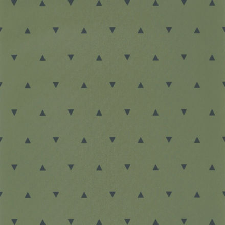 Imagen de PAPEL CASELIO OUR PLANET