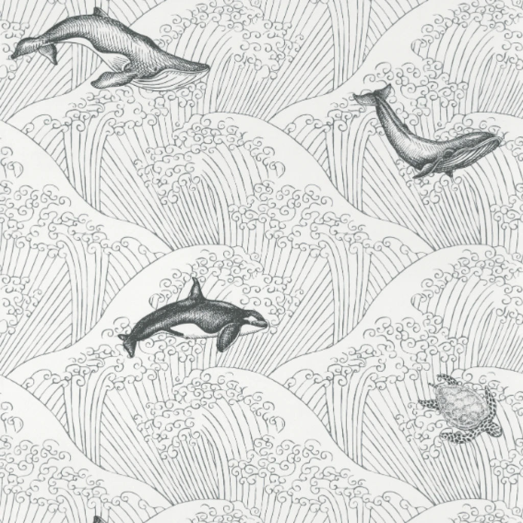 Imagen de PAPEL CASELIO OUR PLANET
