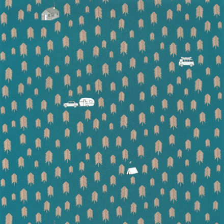 Imagen de PAPEL CASELIO OUR PLANET