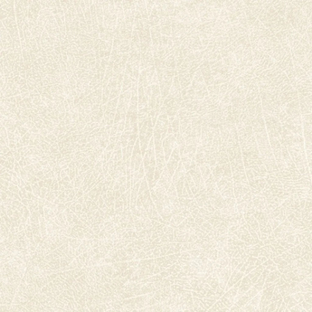 Imagen de PAPEL EIJFFINGER SKIN
