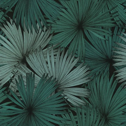 Imagen de Colección Jungle Ref. 100047818 [Preventa 30 días]