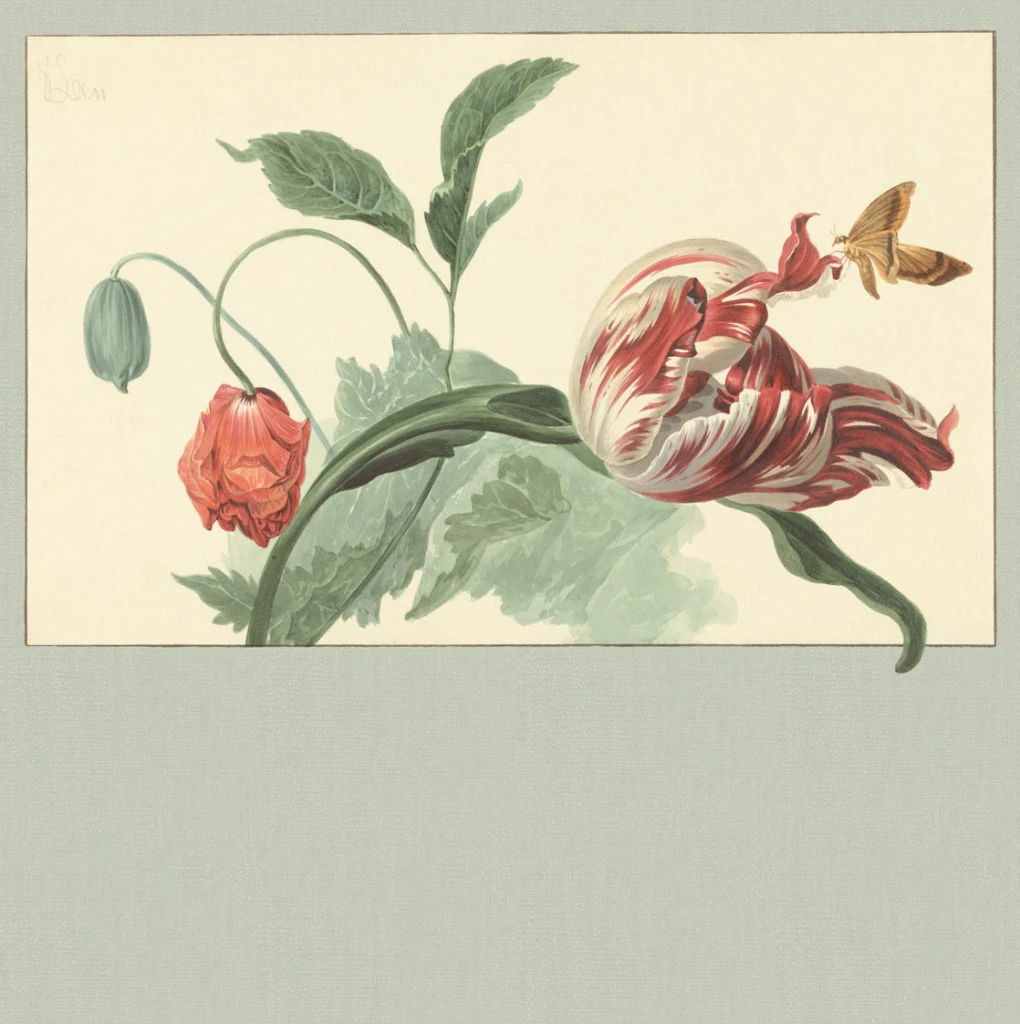 Imagen de Colección Masterpiece Ref. 358119 [Preventa 30 días]