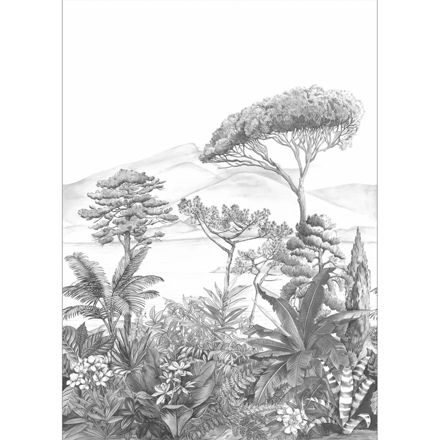 Imagen de PAPEL CASELIO NOS GRAVURES