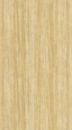 Imagen de PAPEL CASADECO NICARAGUA