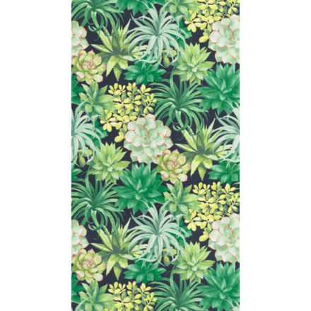 Imagen de PAPEL CASADECO BOTÁNICA