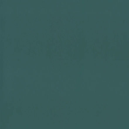 Imagen de PAPEL CASELIO OUR PLANET