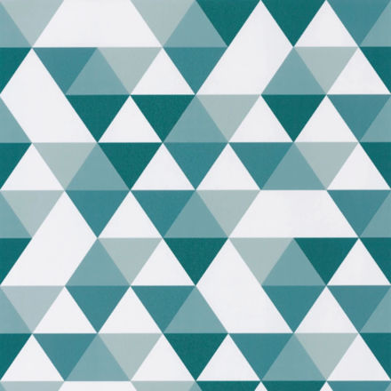 Imagen de PAPEL CASELIO OUR PLANET