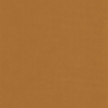 Imagen de PAPEL CASELIO NOS GRAVURES