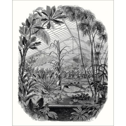 Imagen de PAPEL CASADECO BEAUTYFULL IMAGE 2