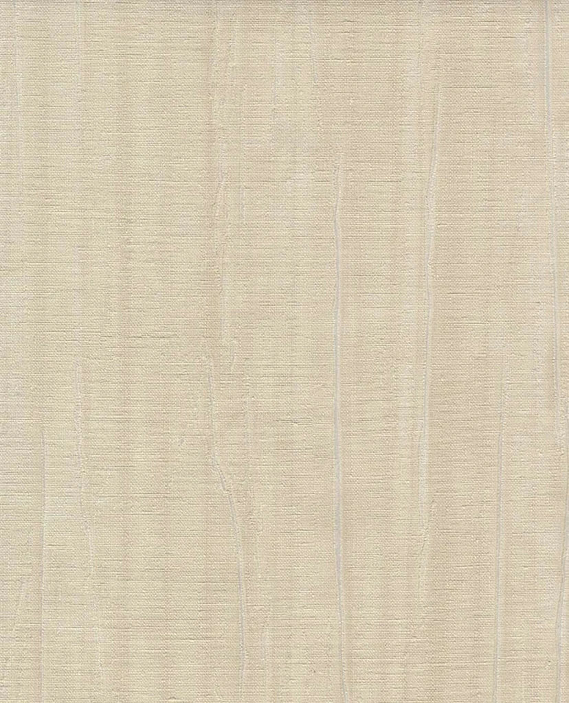Imagen de PAPEL EIJFFINGER MUSEUM