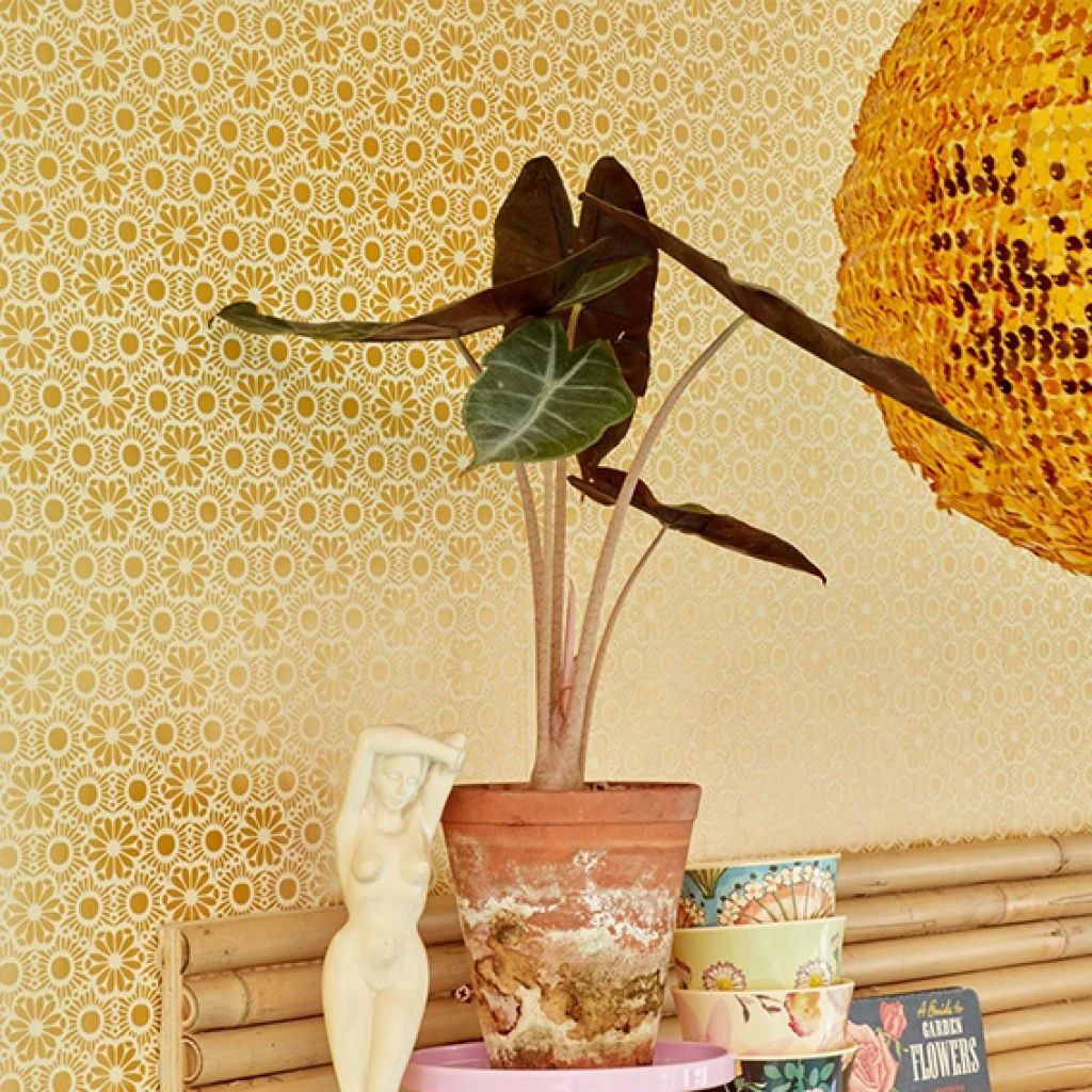 Imagen de Colección Rice II Ref. 383570 [Preventa 30 días]