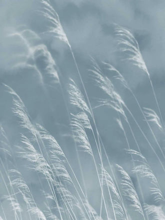 Imagen de PAPEL EIJFFINGER WATERFRONT