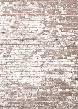 Imagen de PAPEL CASELIO YOUNG & FREE