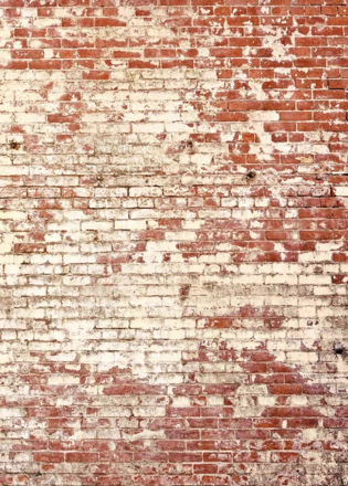 Imagen de PAPEL CASELIO YOUNG & FREE