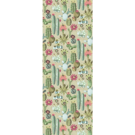 Imagen de Colección Vivid Ref. 384605 [Preventa 30 días]