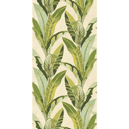 Imagen de Colección Vivid Ref. 384600 [Preventa 30 días]