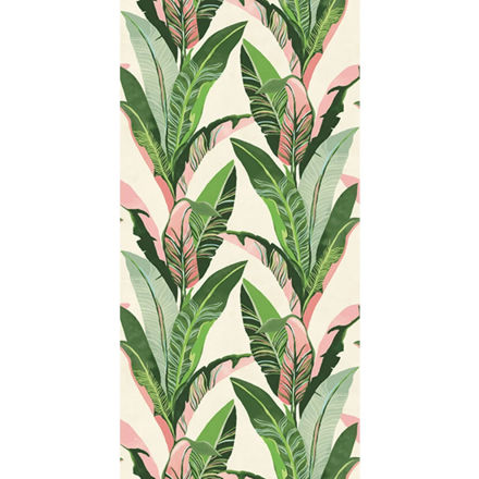 Imagen de Colección Vivid Ref. 384601 [Preventa 30 días]