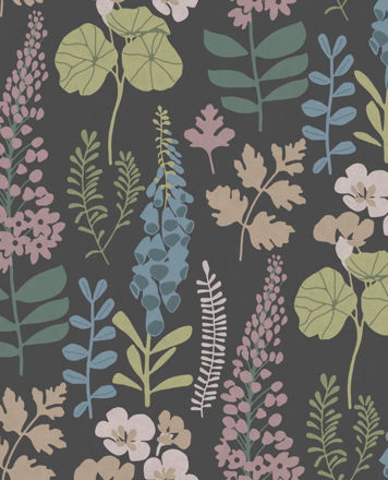 Imagen de Colección Vivid Ref. 384535 [Preventa 30 días]