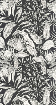 Imagen de PAPEL CASELIO NOS GRAVURES