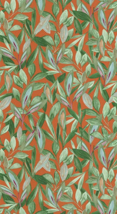 Imagen de PAPEL CASADECO NICARAGUA