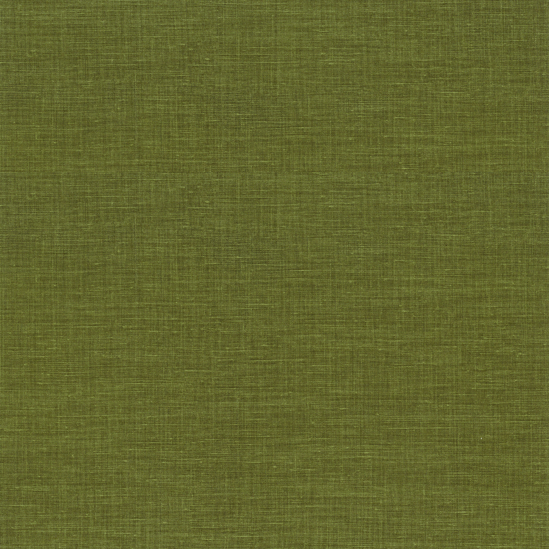 73810807