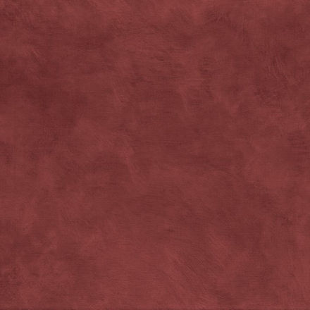 75492956