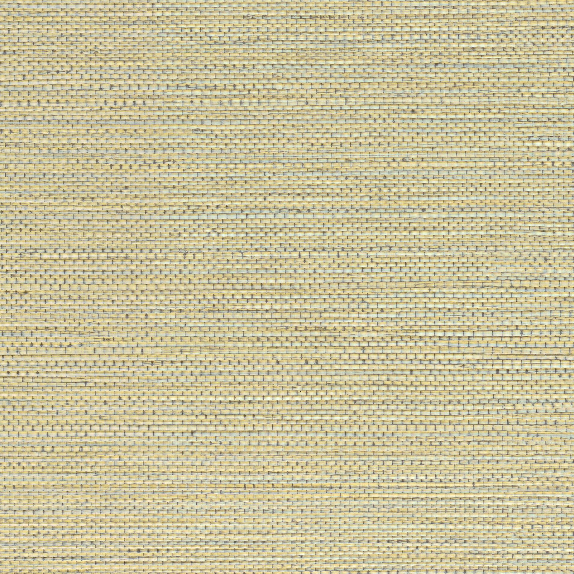 75971630
