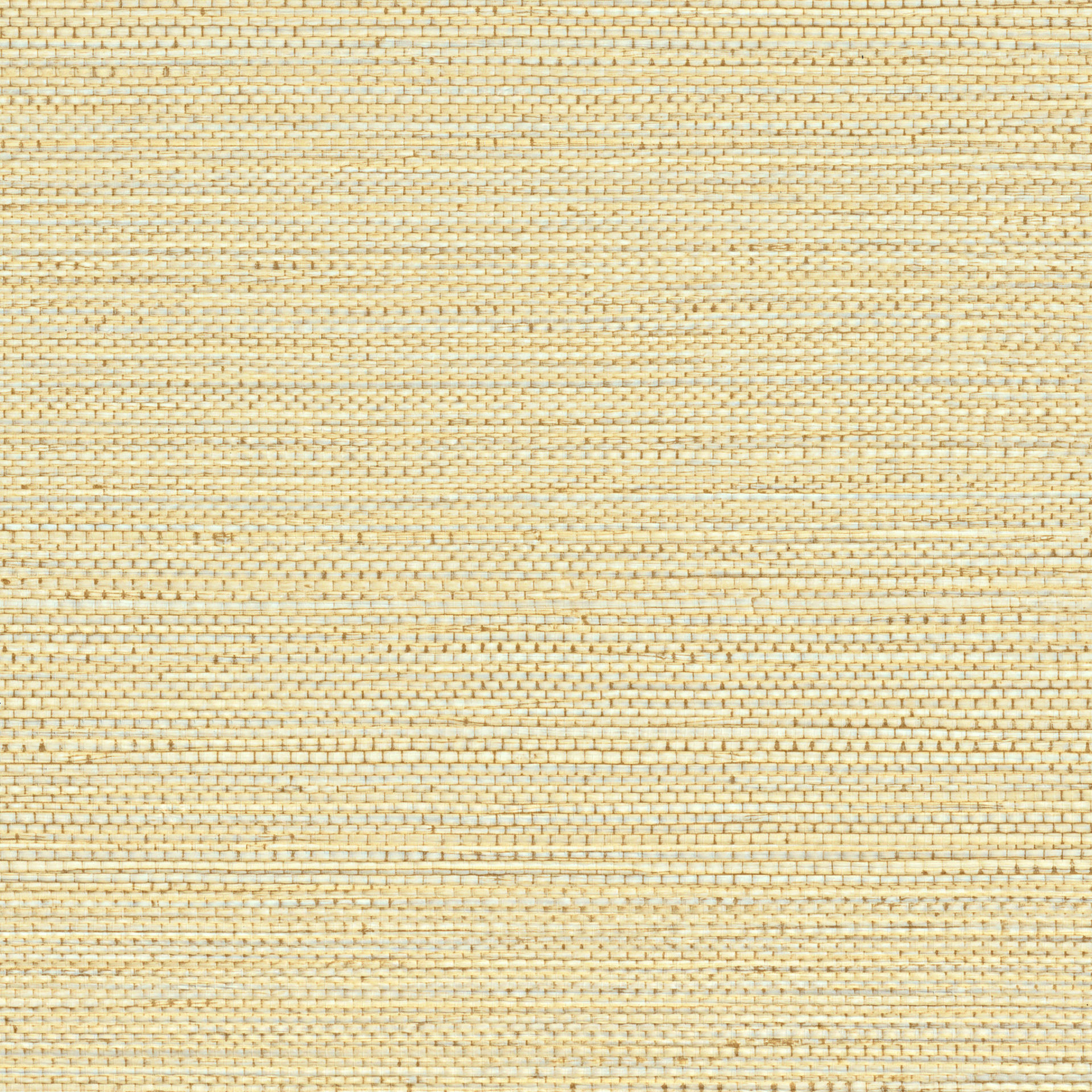75971834
