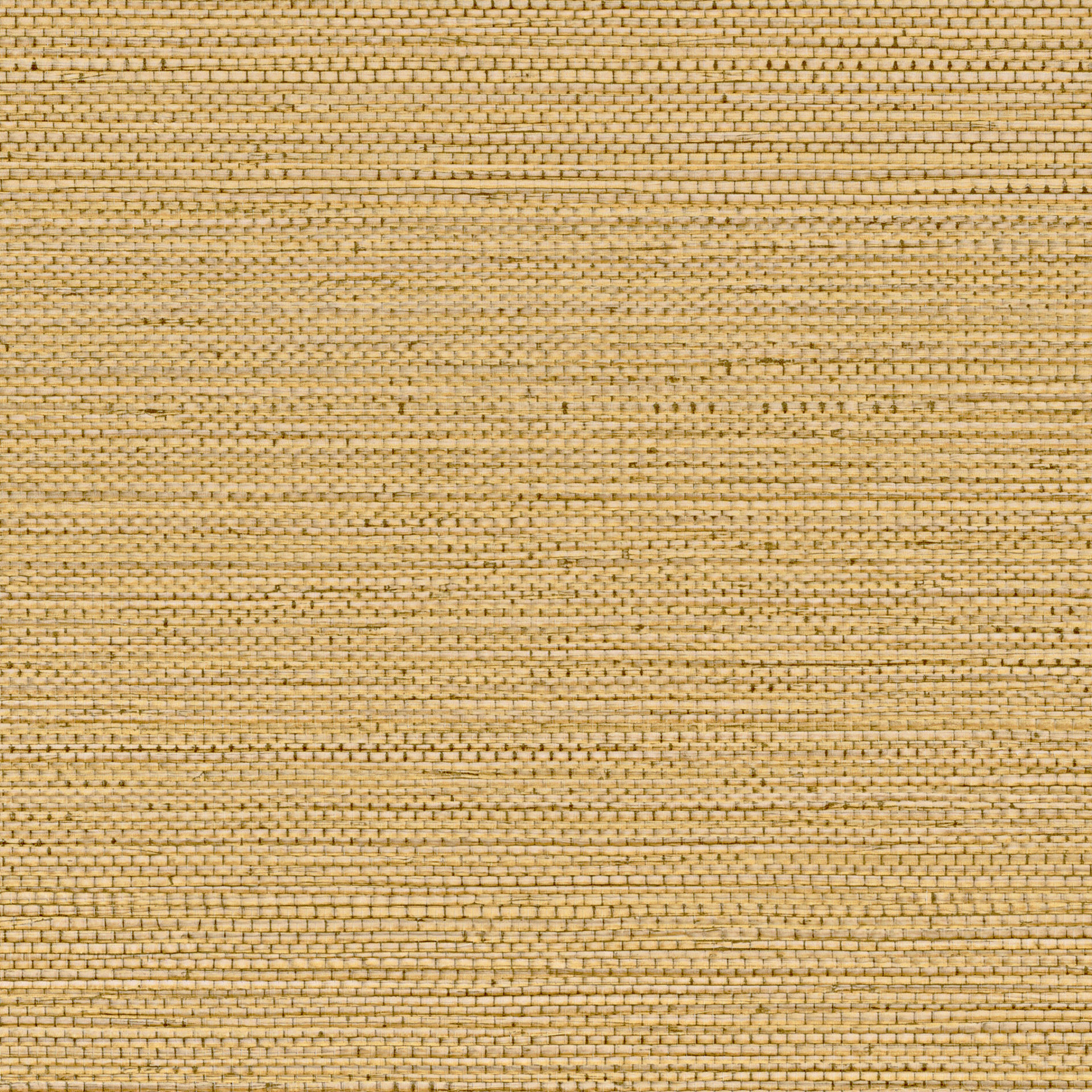 75971936