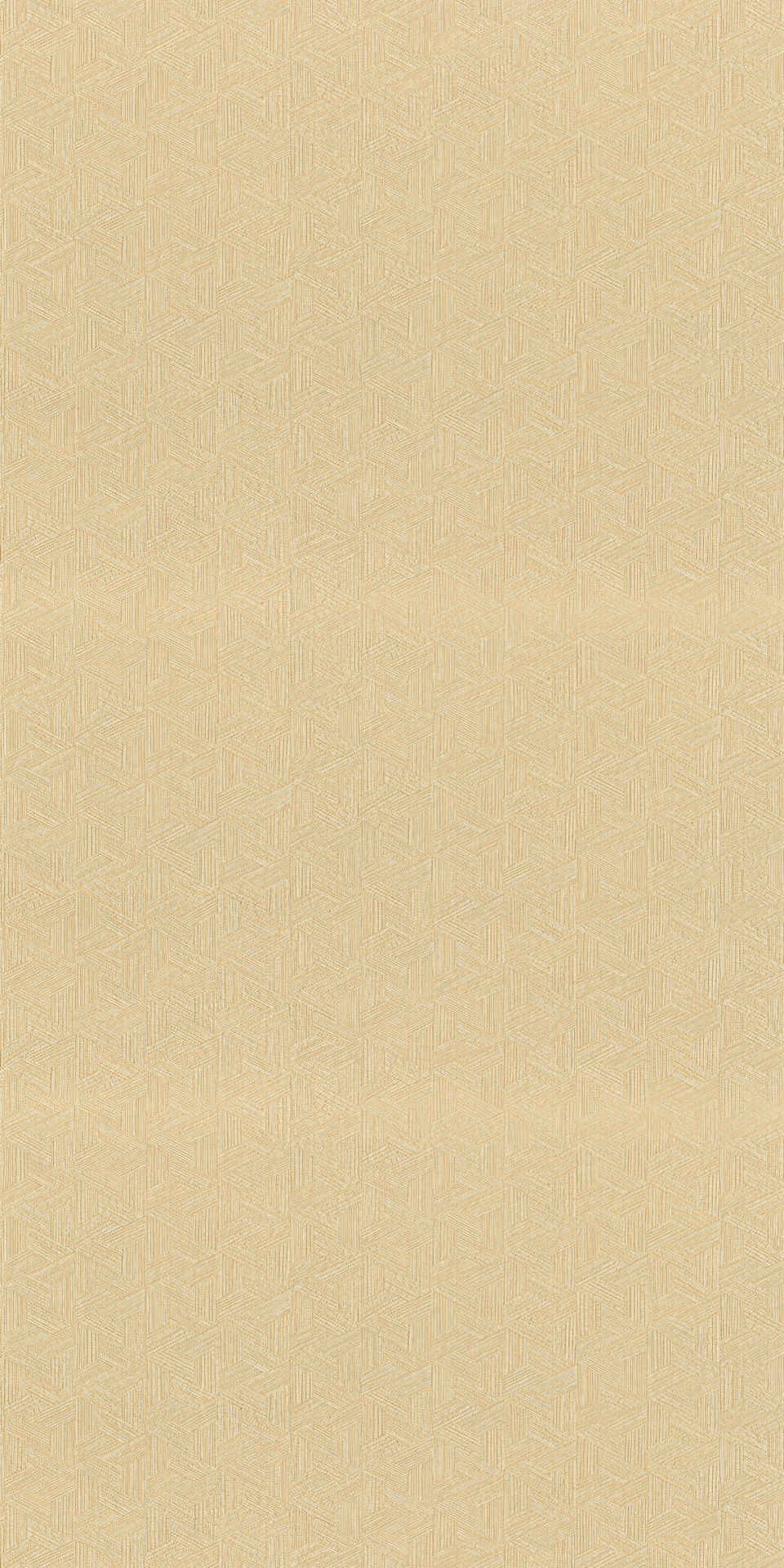 76480304