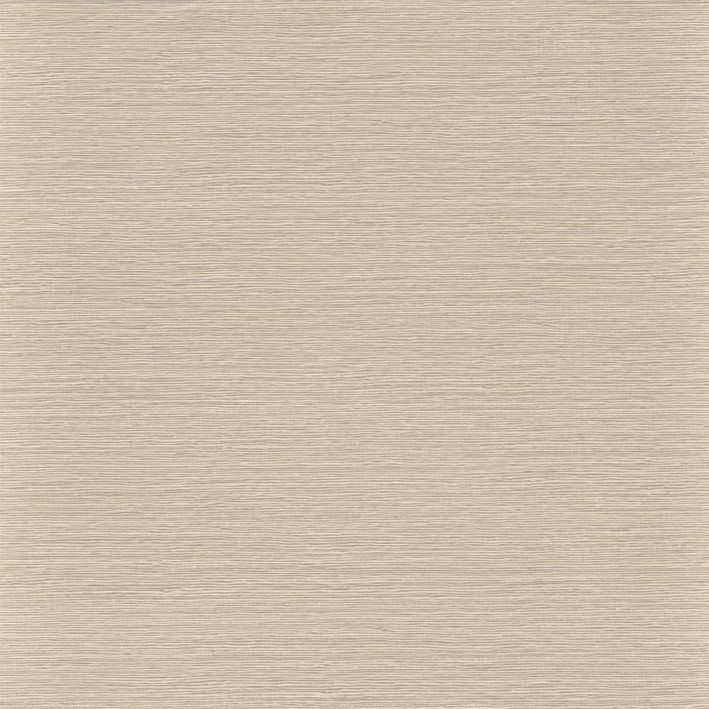 74640304
