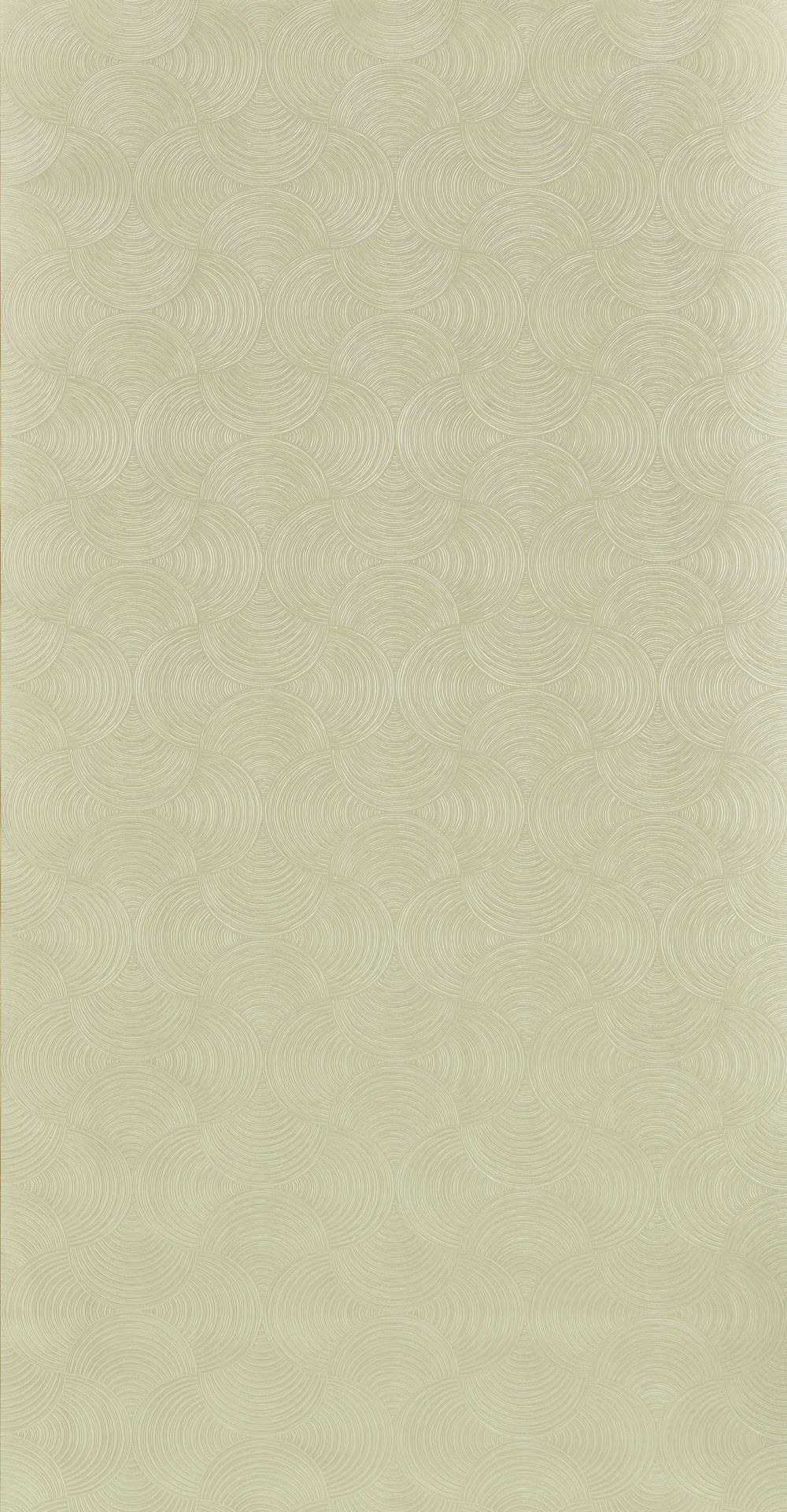 76630508.1