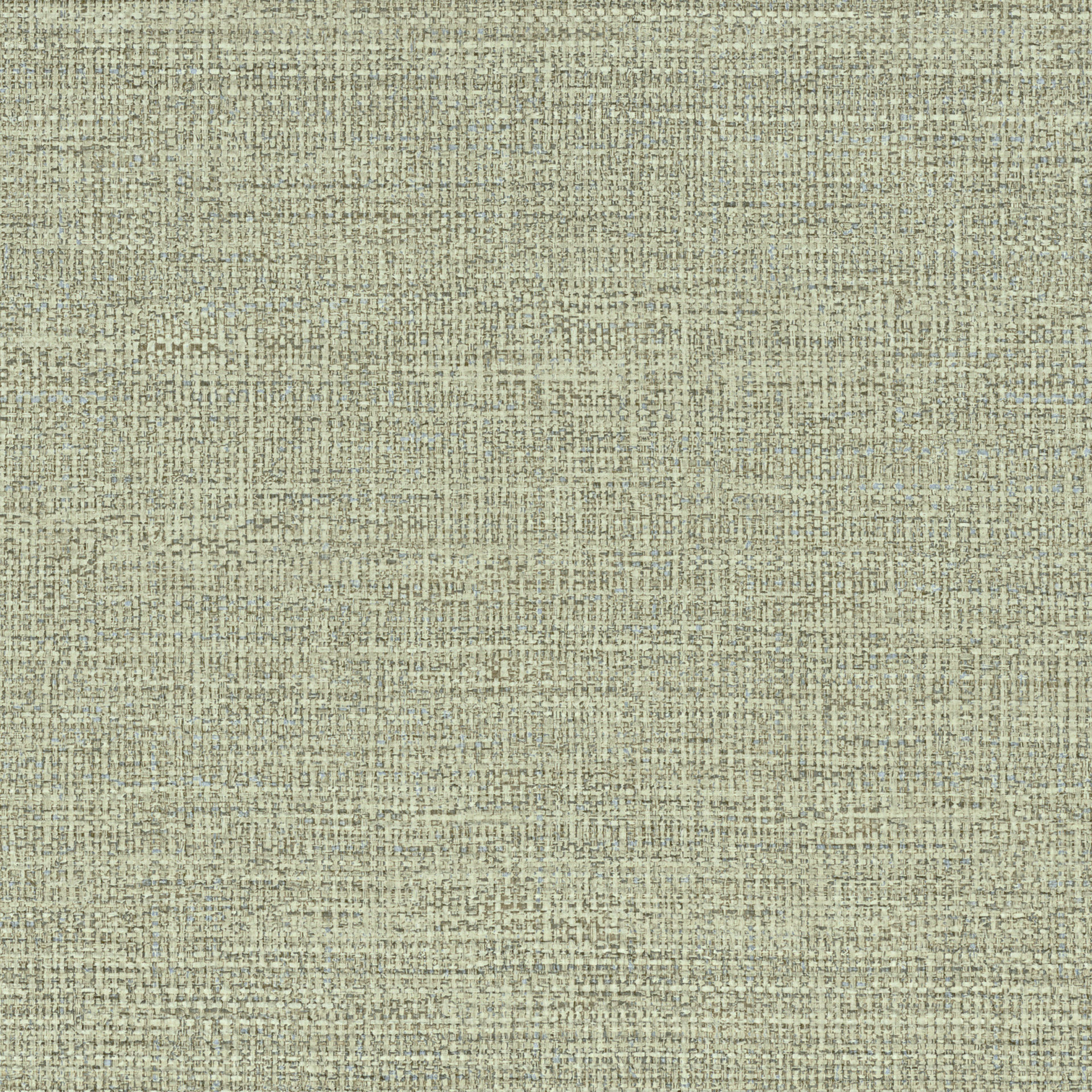 74250406