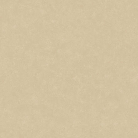 105241223