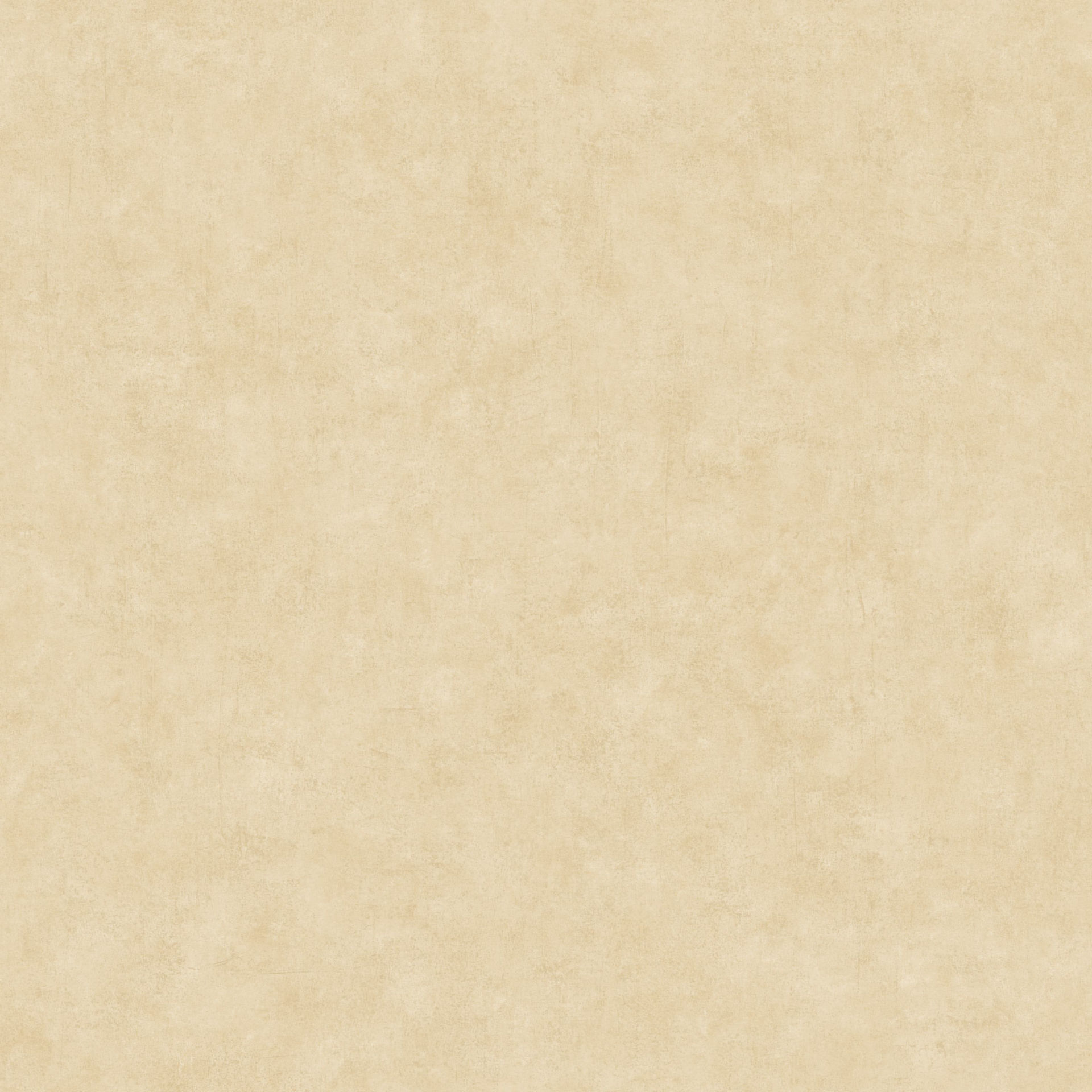 101481674