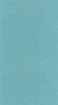 68526571