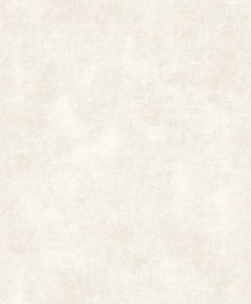 80831010