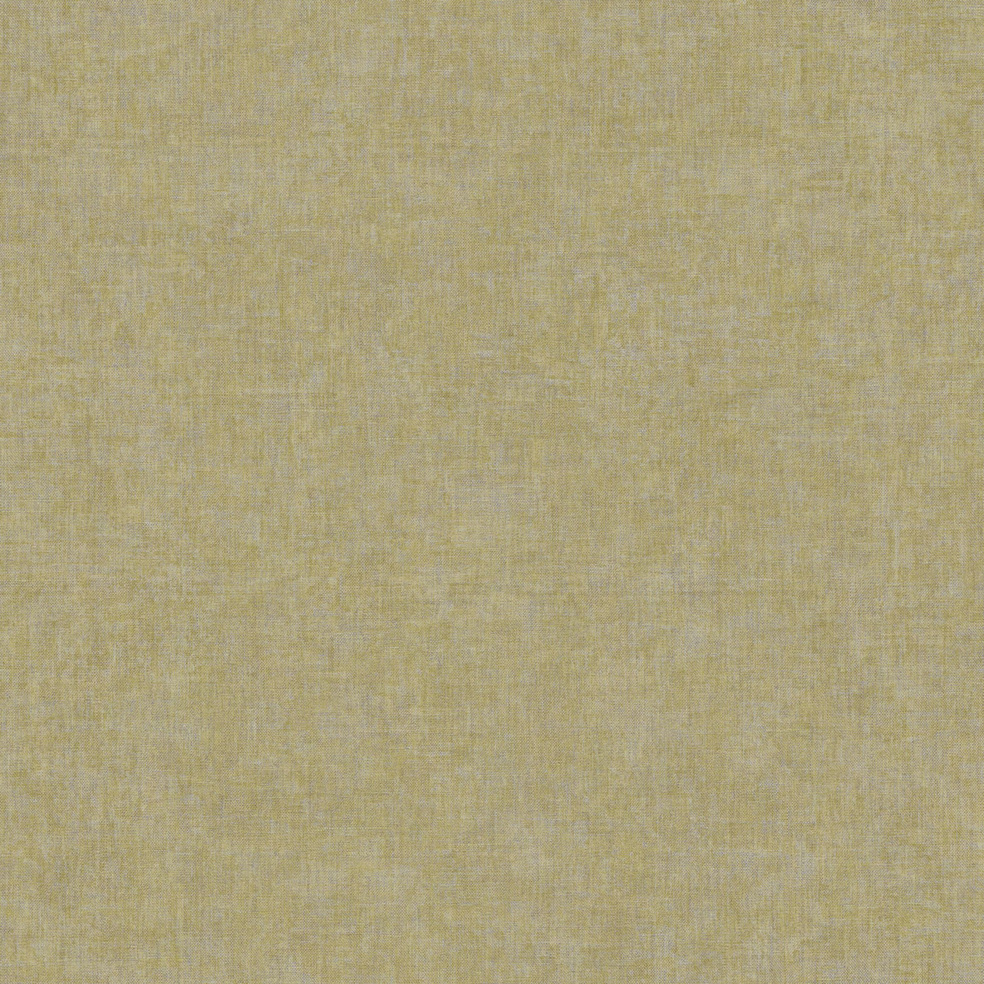 81927255