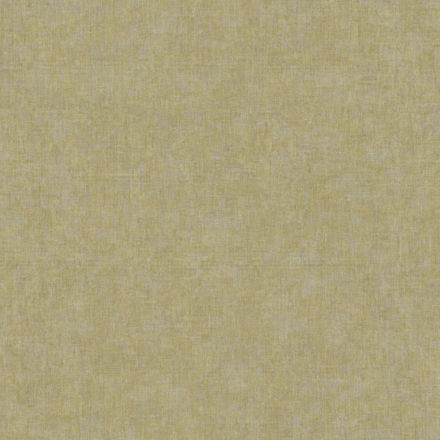 81927255
