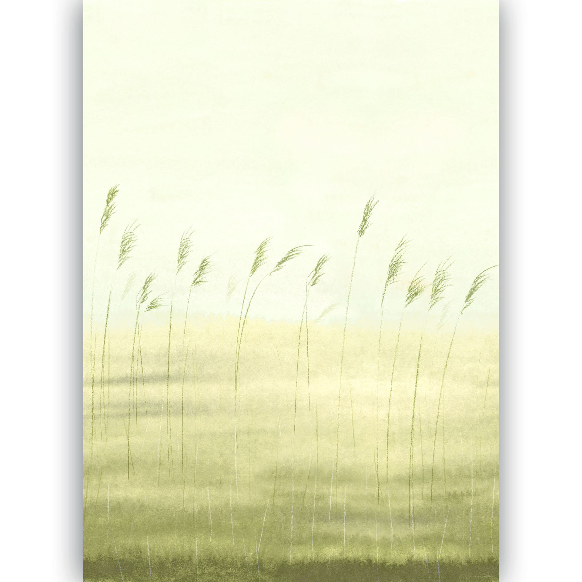 200082703.1
