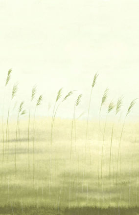 200082704