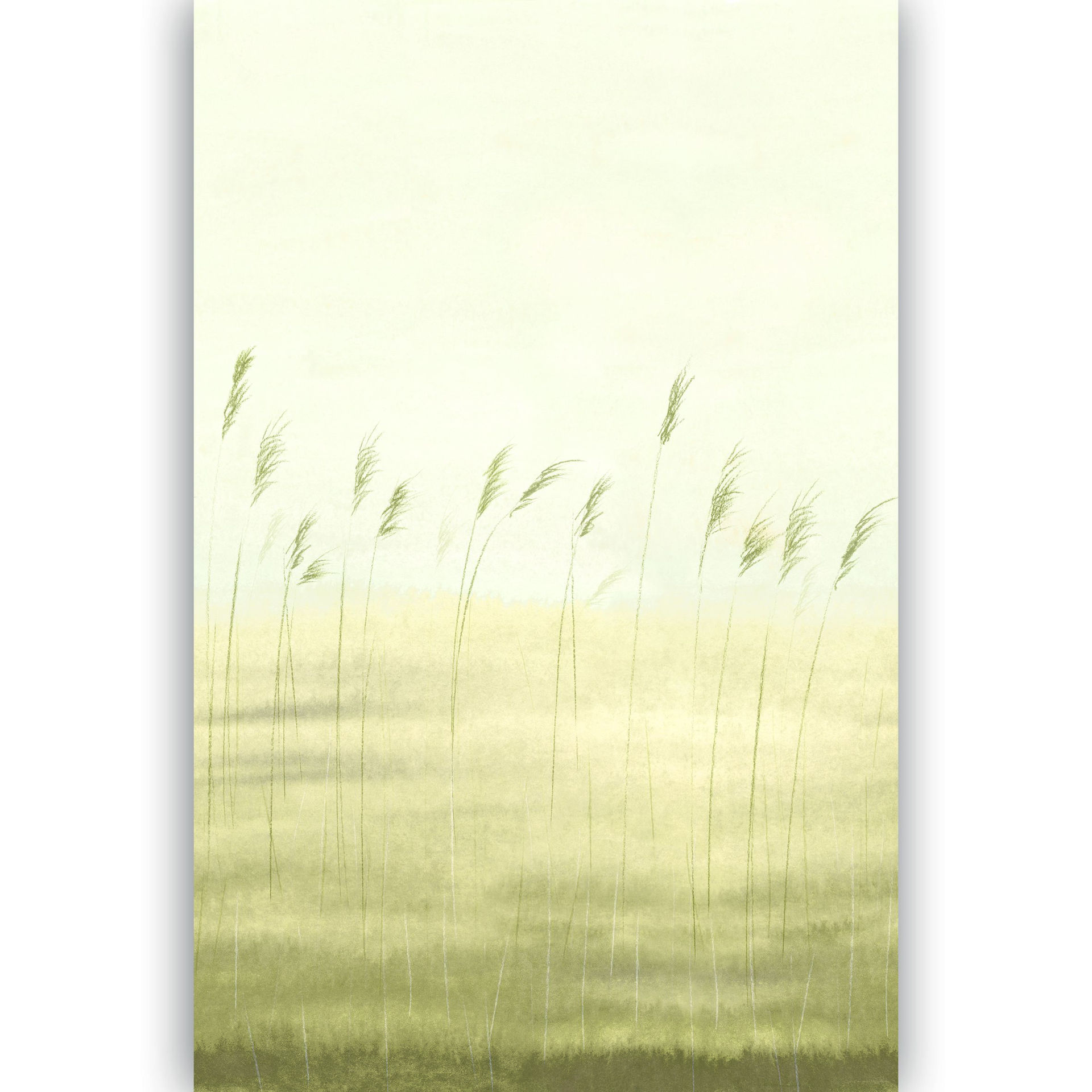 200082704.1